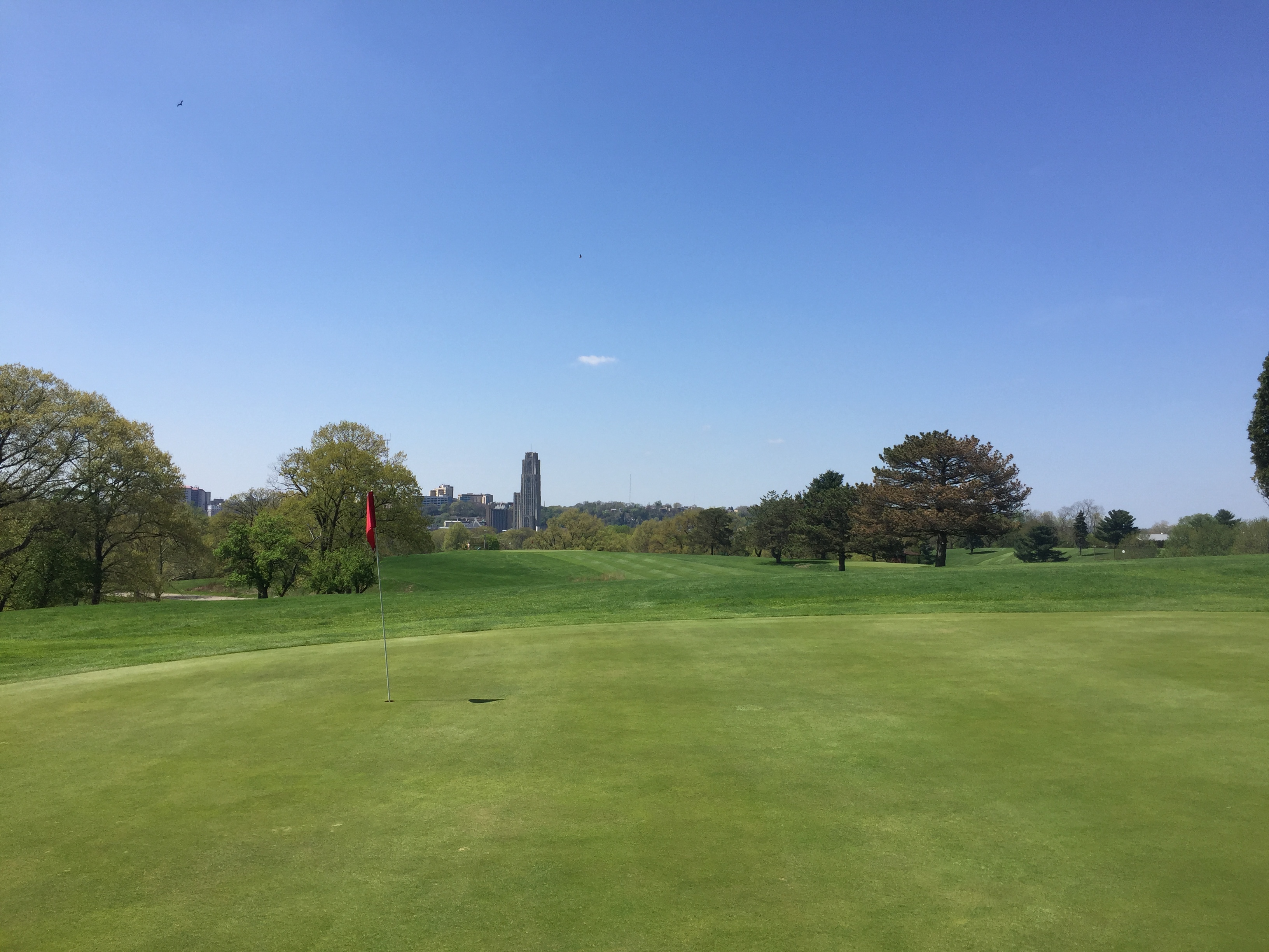 Hole 15 Cathedral of Learning Spring